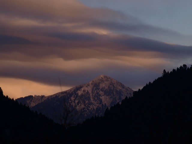 P1015910.jpg