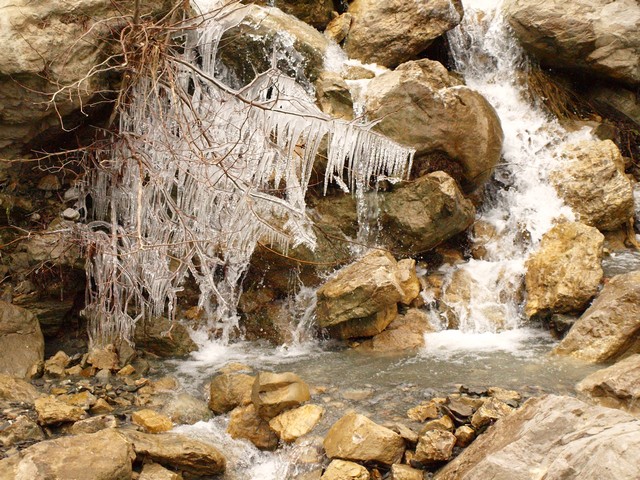 PC315822.jpg