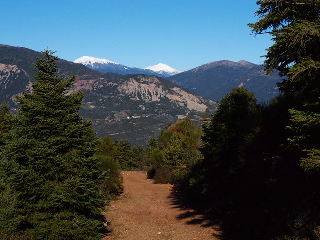 P1025961.jpg