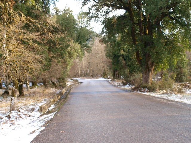 P1015900.jpg