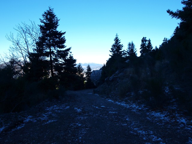 P1025979.jpg