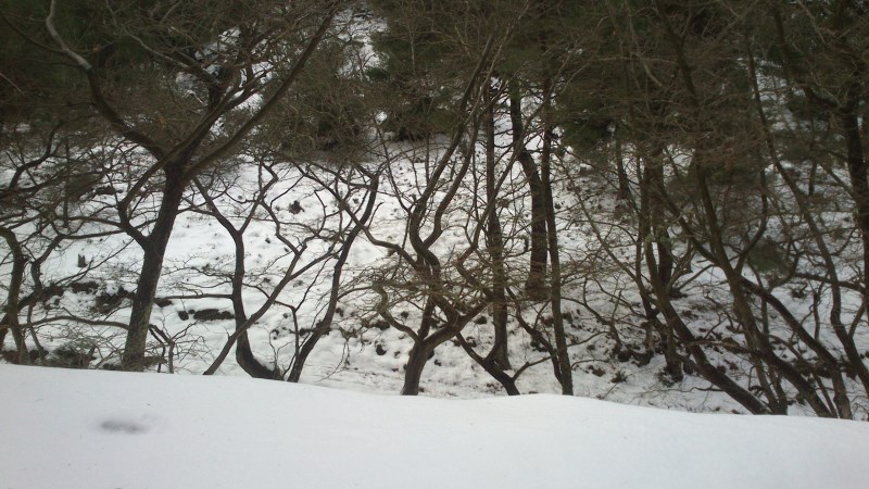 DSC_0301.jpg