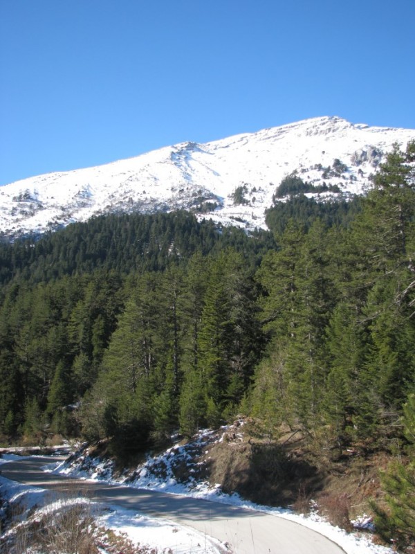 IMG_2457.jpg