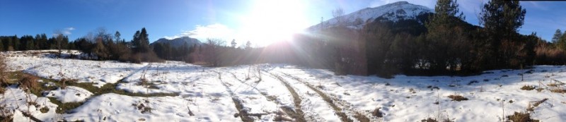 IMG_3182.jpg