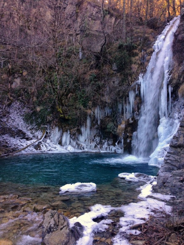 IMG_3147.jpg