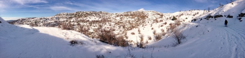 IMG_3297.jpg