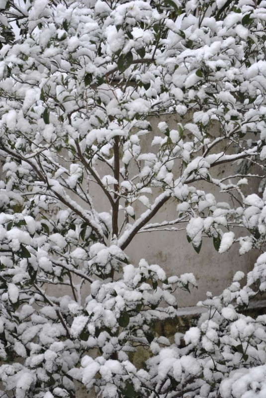 _DSC6882.jpg