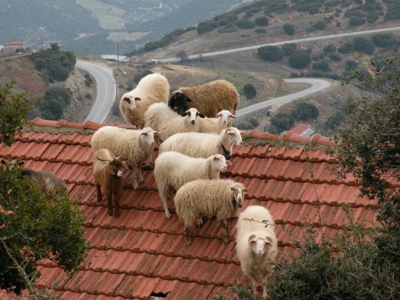 DSCN6958.JPG