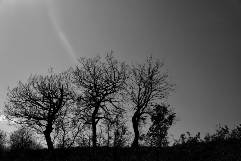 DSC02149.jpg