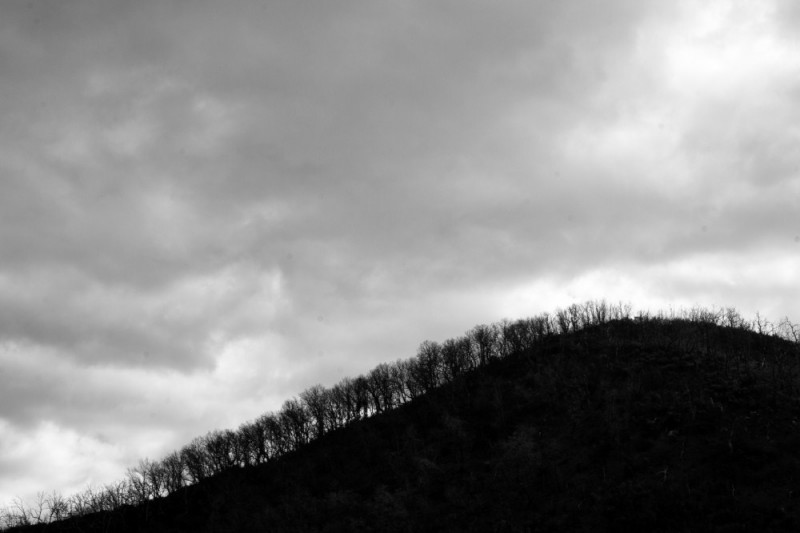 DSC02301.jpg