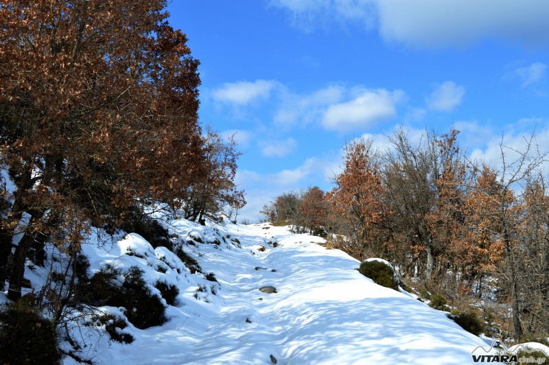Ίσαρη 14-15.02.2015 8.JPG