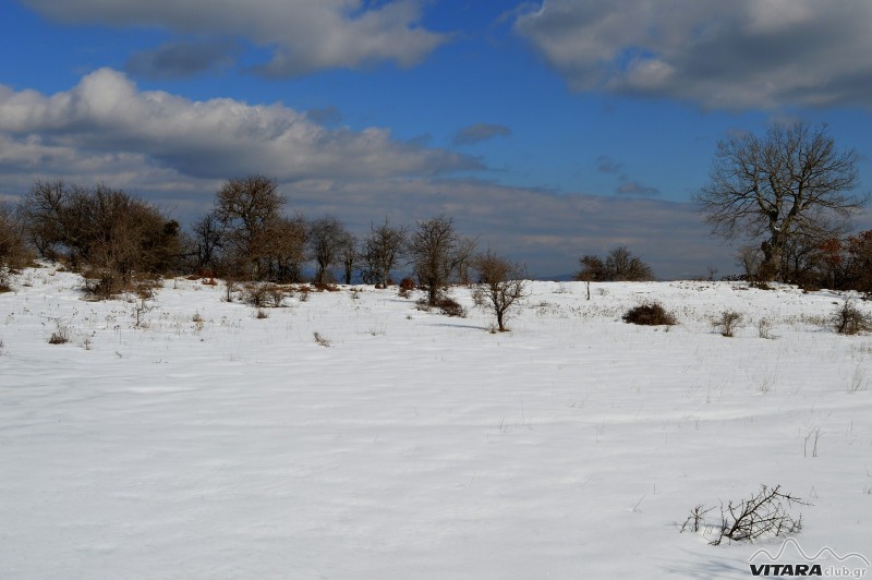 Ίσαρη 14-15.02.2015 19.JPG