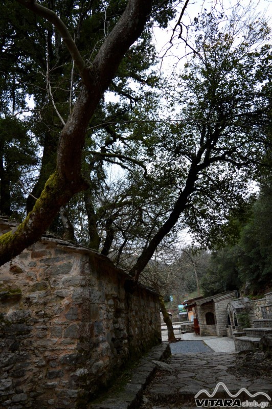 Ίσαρη 14-15.02.2015 35.JPG