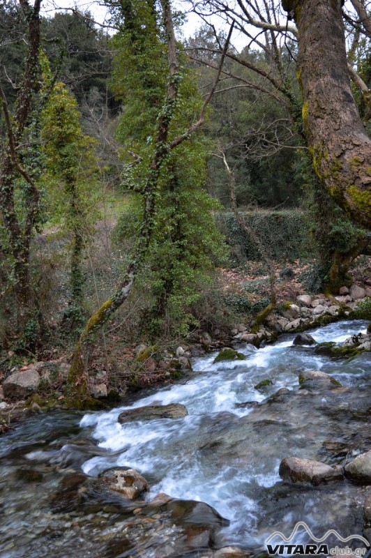 Ίσαρη 14-15.02.2015 36.JPG