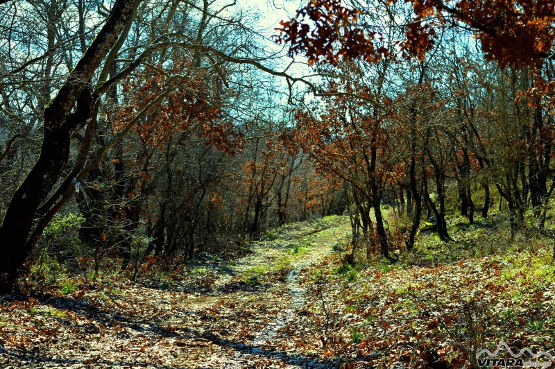 Ίσαρη 14-15.02.2015 43.JPG