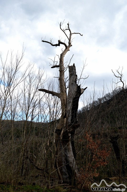 Ίσαρη 14-15.02.2015 58.JPG