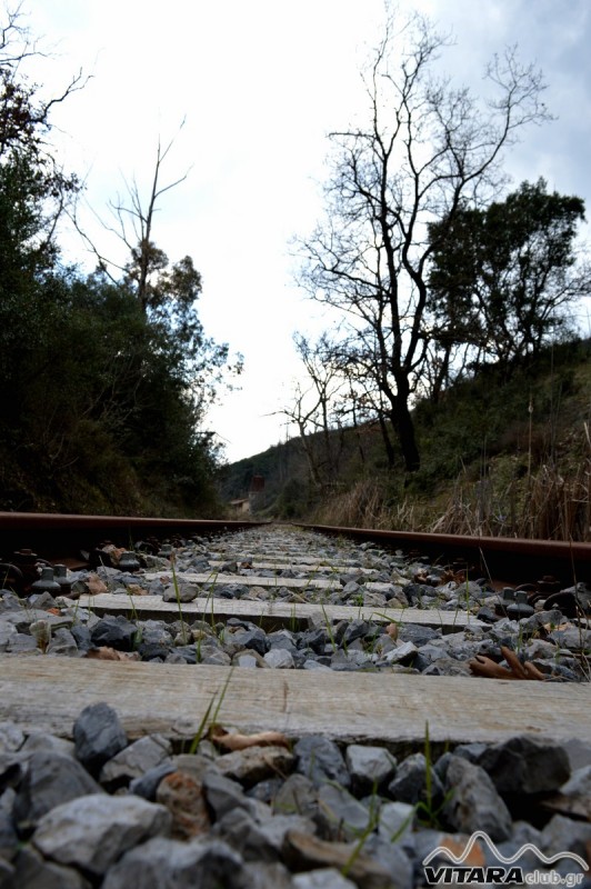 Ίσαρη 14-15.02.2015 91.JPG