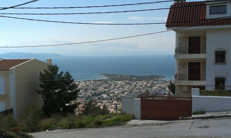 IMAG0219.jpg