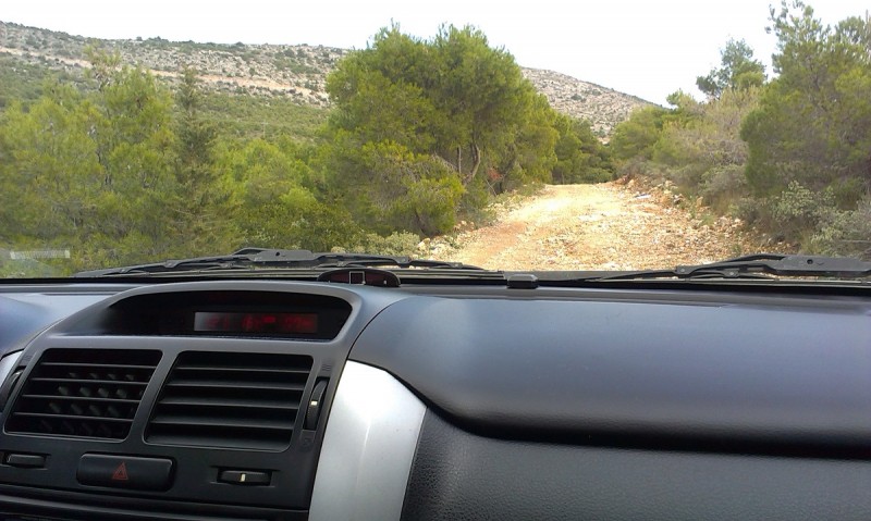IMAG0228.jpg