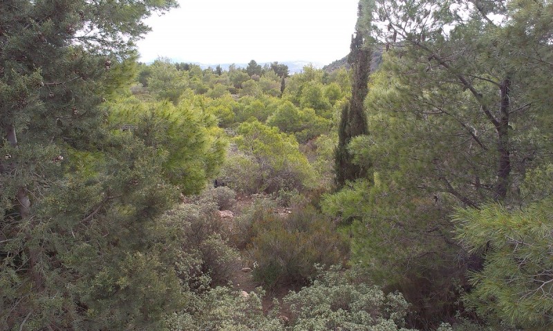 IMAG0231.jpg
