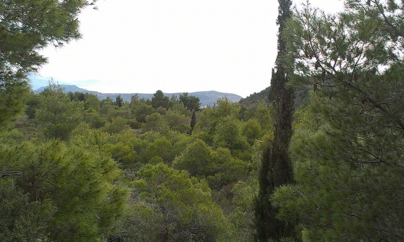 IMAG0232.jpg