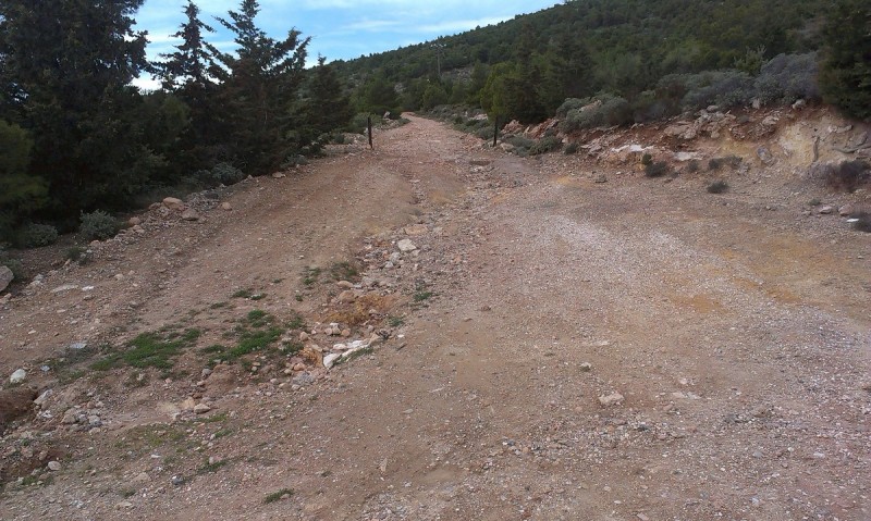 IMAG0235.jpg