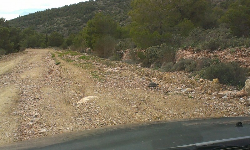 IMAG0237.jpg