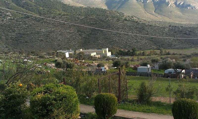 IMAG0240.jpg