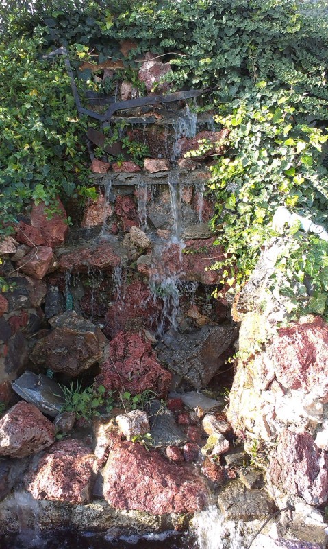 IMAG0242.jpg