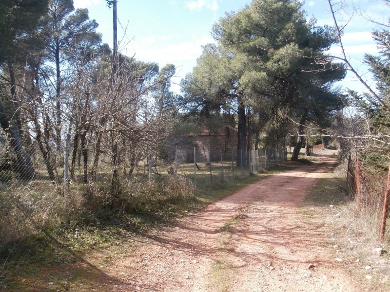 P2210011.JPG