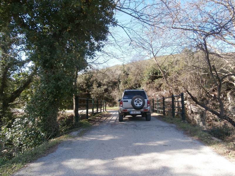 P2210015.JPG
