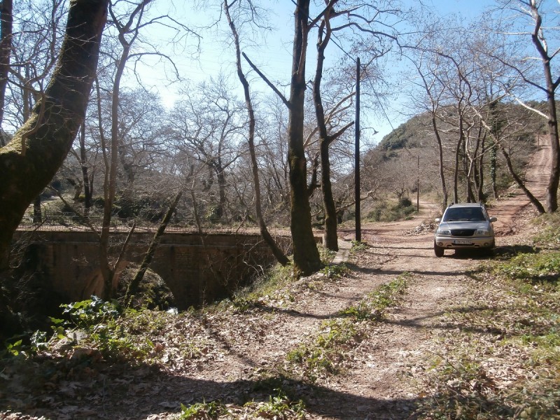 P2210024.JPG