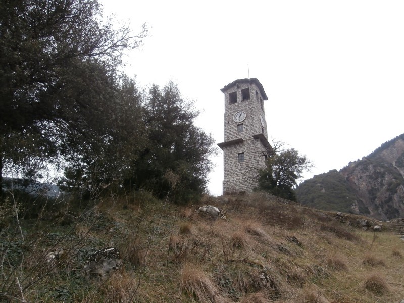 P2220060.JPG