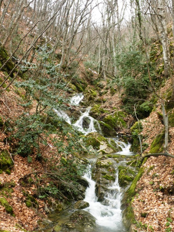 DSCN9802v.jpg