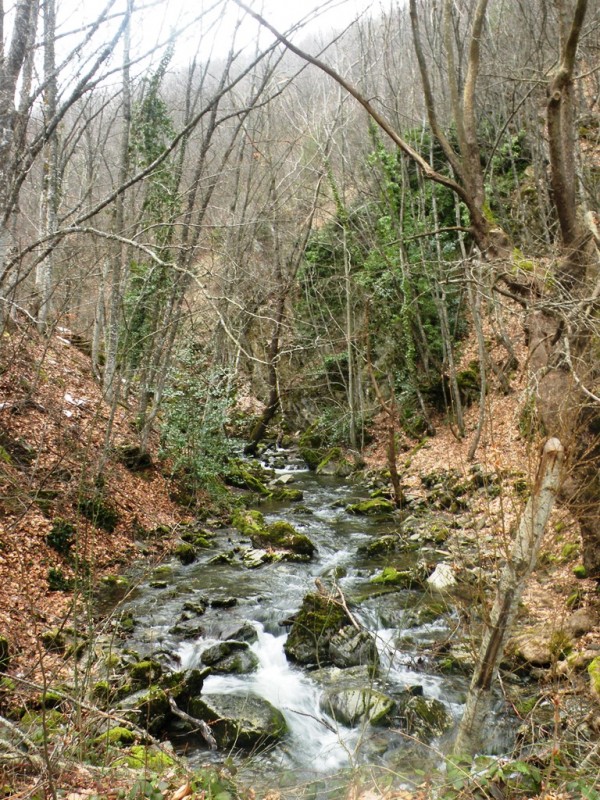 DSCN9804v.jpg