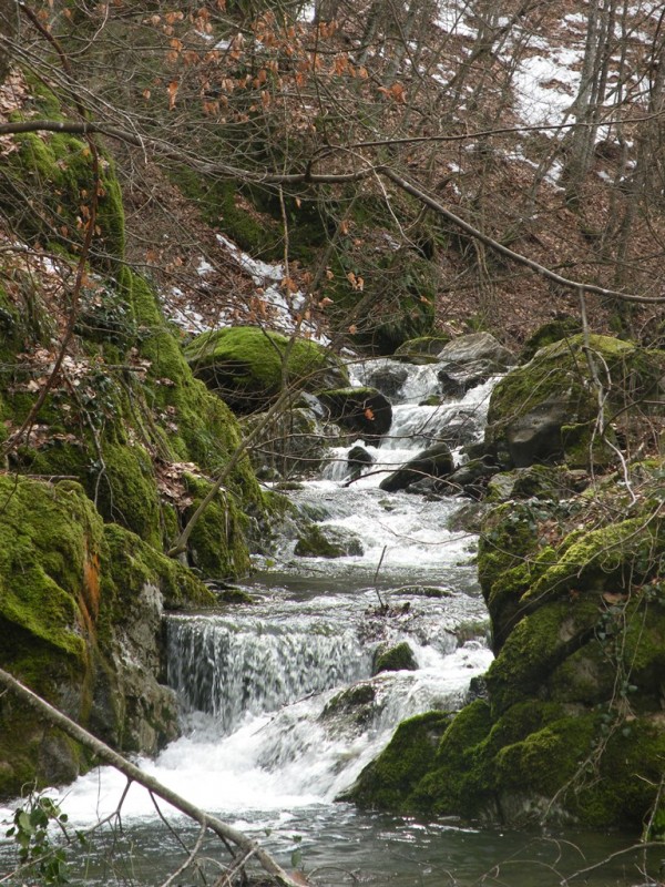 DSCN9810v.jpg