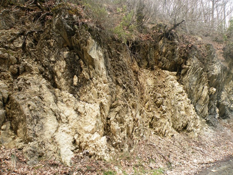 DSCN9825v.jpg
