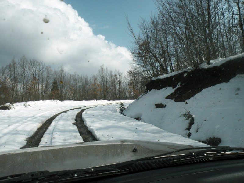 DSCN9826v.jpg