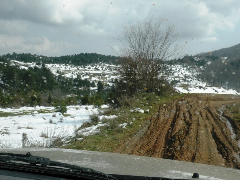 DSCN9827v.jpg