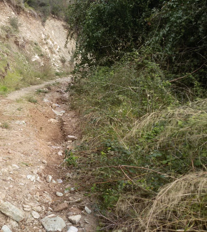 Αντίγραφο από 20150315_155007.jpg
