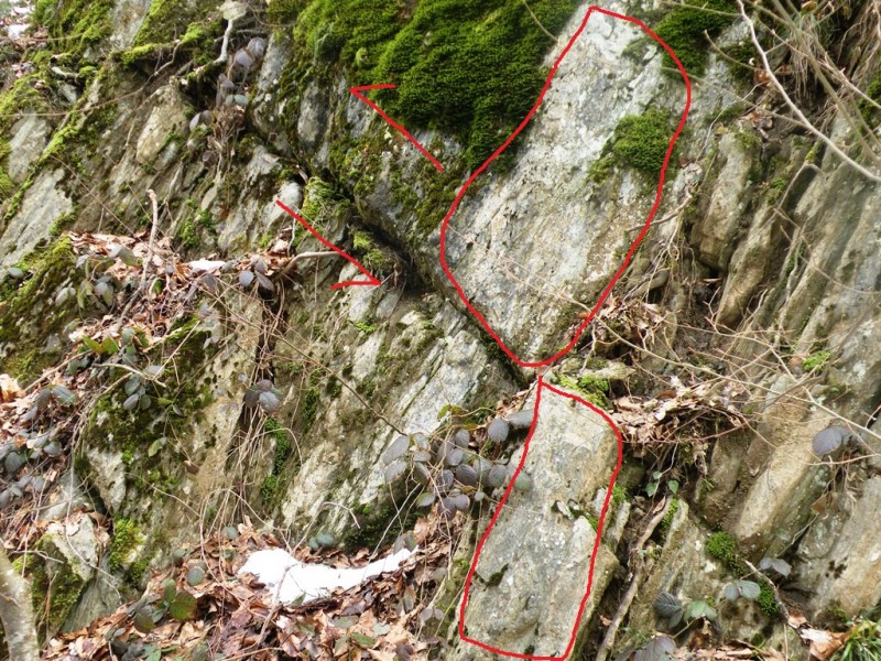DSCN9817v.jpg