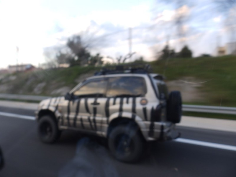 P3204091.jpg
