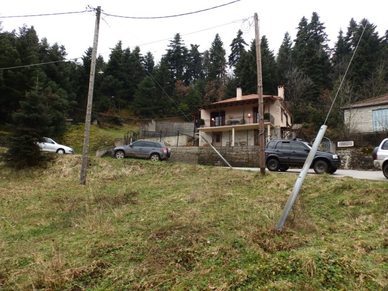 P3224134.jpg