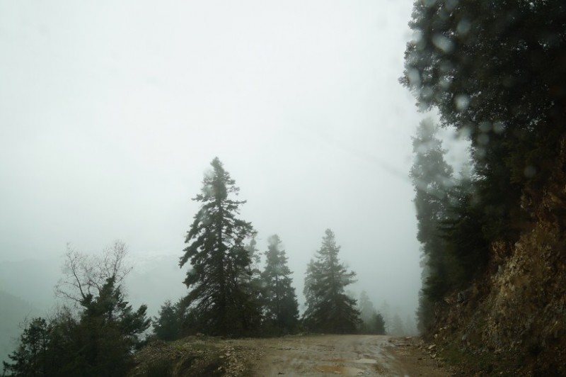 DSC03575.jpg