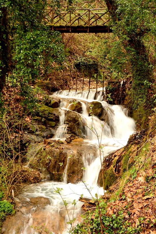 DSC_1806.JPG