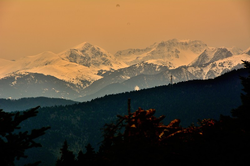 DSC_1568.JPG