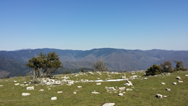 2015-03-21 12.24.39.jpg