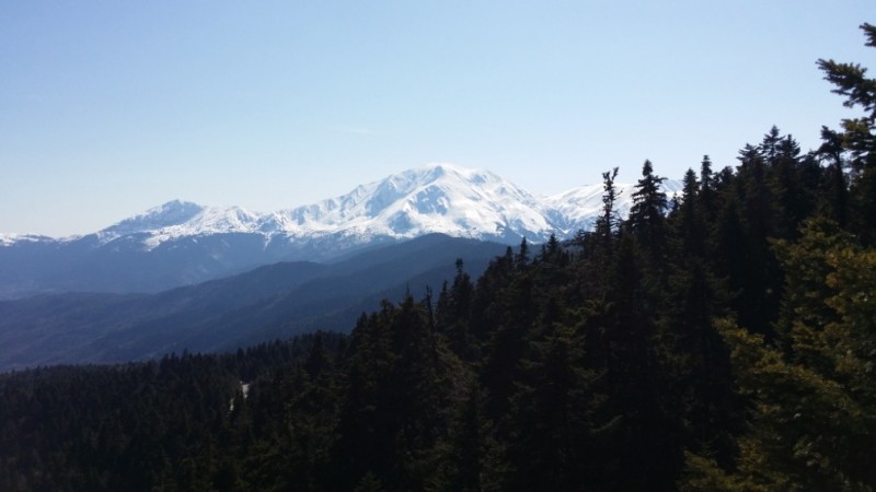 2015-03-21 14.52.27.jpg