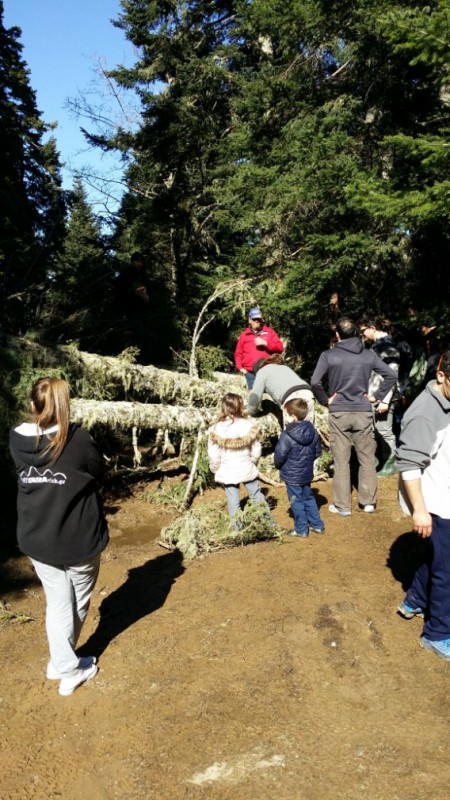 2015-03-21 15.20.35.jpg