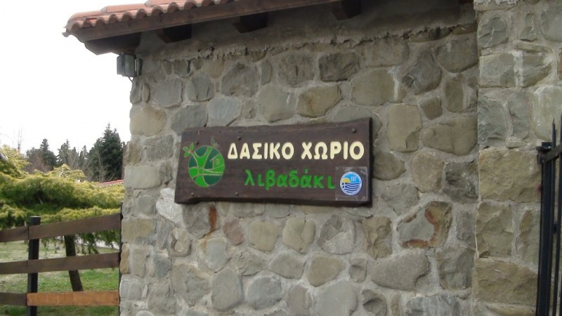 DSC00659.jpg